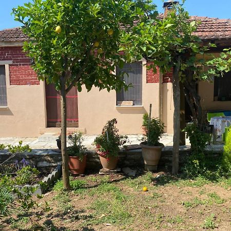 Tilemvi Seaside House Milina Pelion!!! Villa Koukouleika Dış mekan fotoğraf