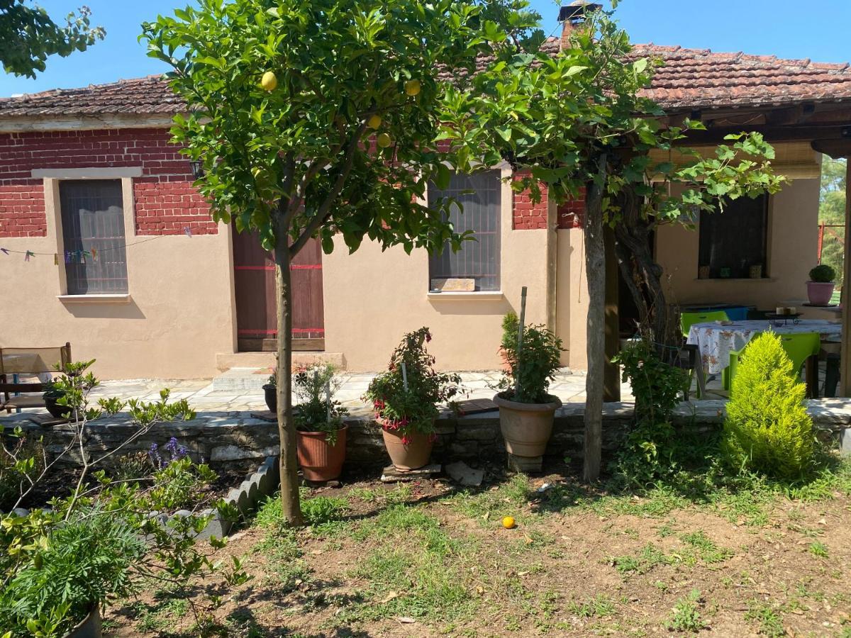 Tilemvi Seaside House Milina Pelion!!! Villa Koukouleika Dış mekan fotoğraf